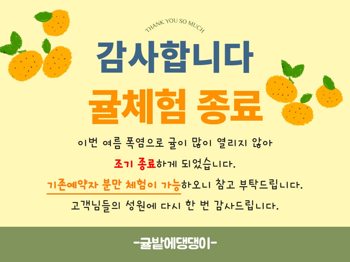 2024년 귤체험 종료 안내