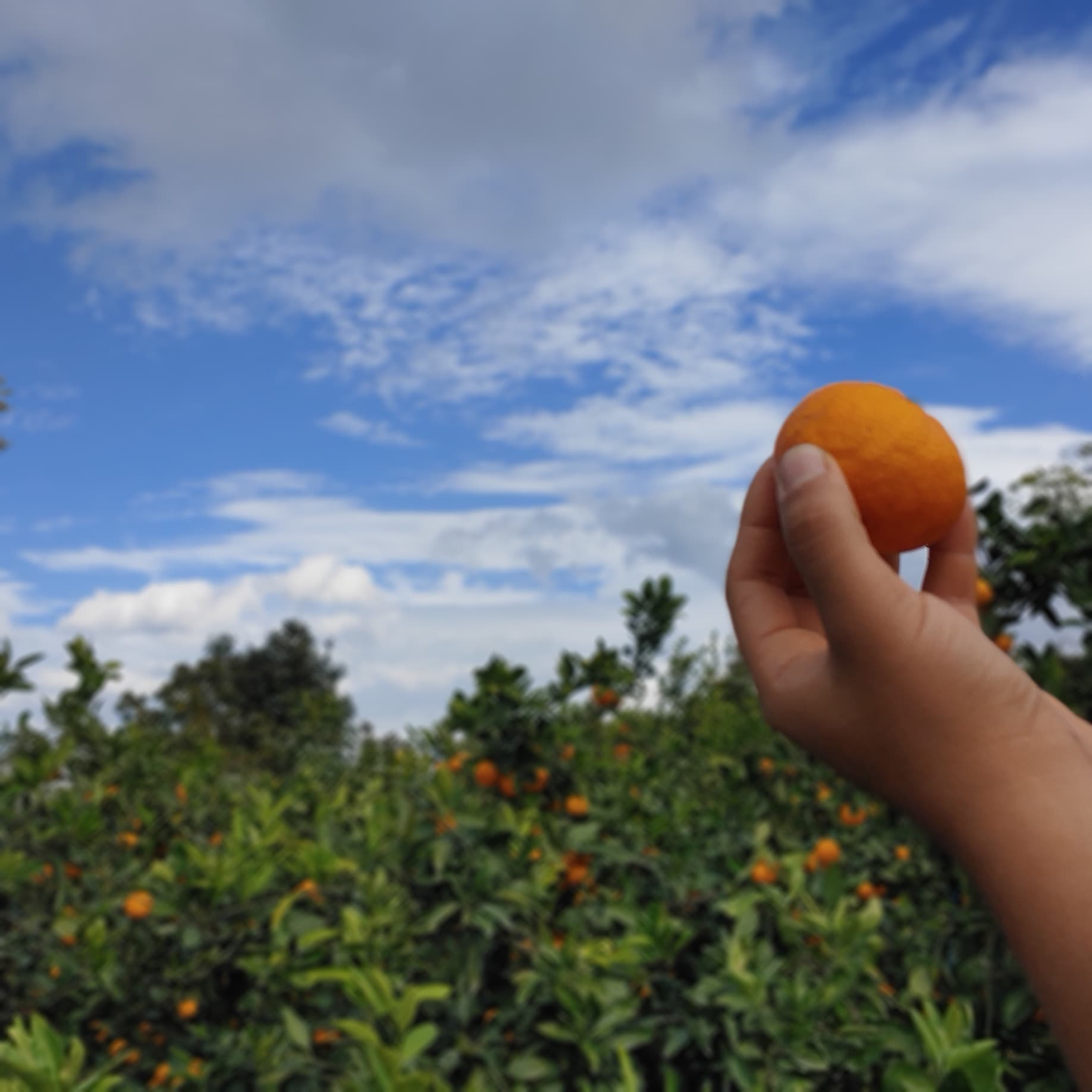 11/28(목) 임시휴무 안내