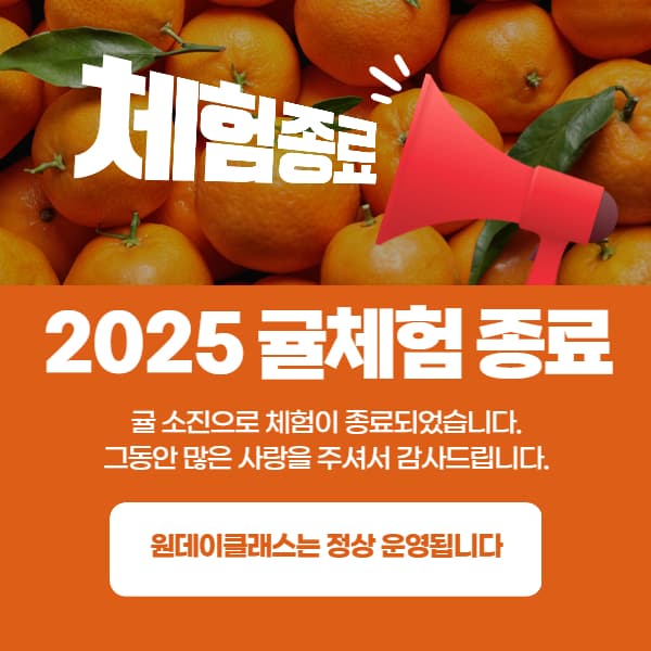 12/20 2025 귤체험 종료