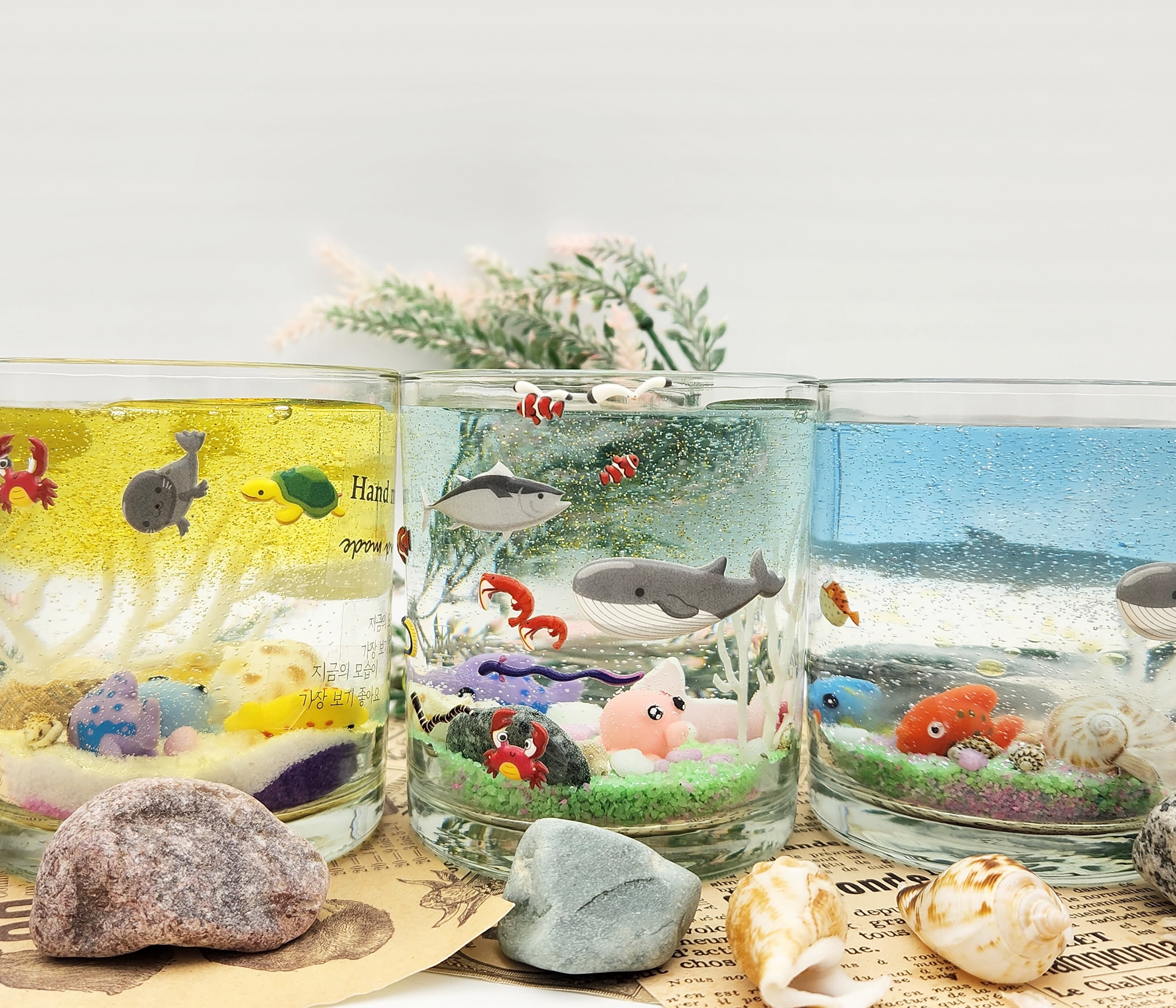 귤체험 종료 및 캔들체험 재개 안내