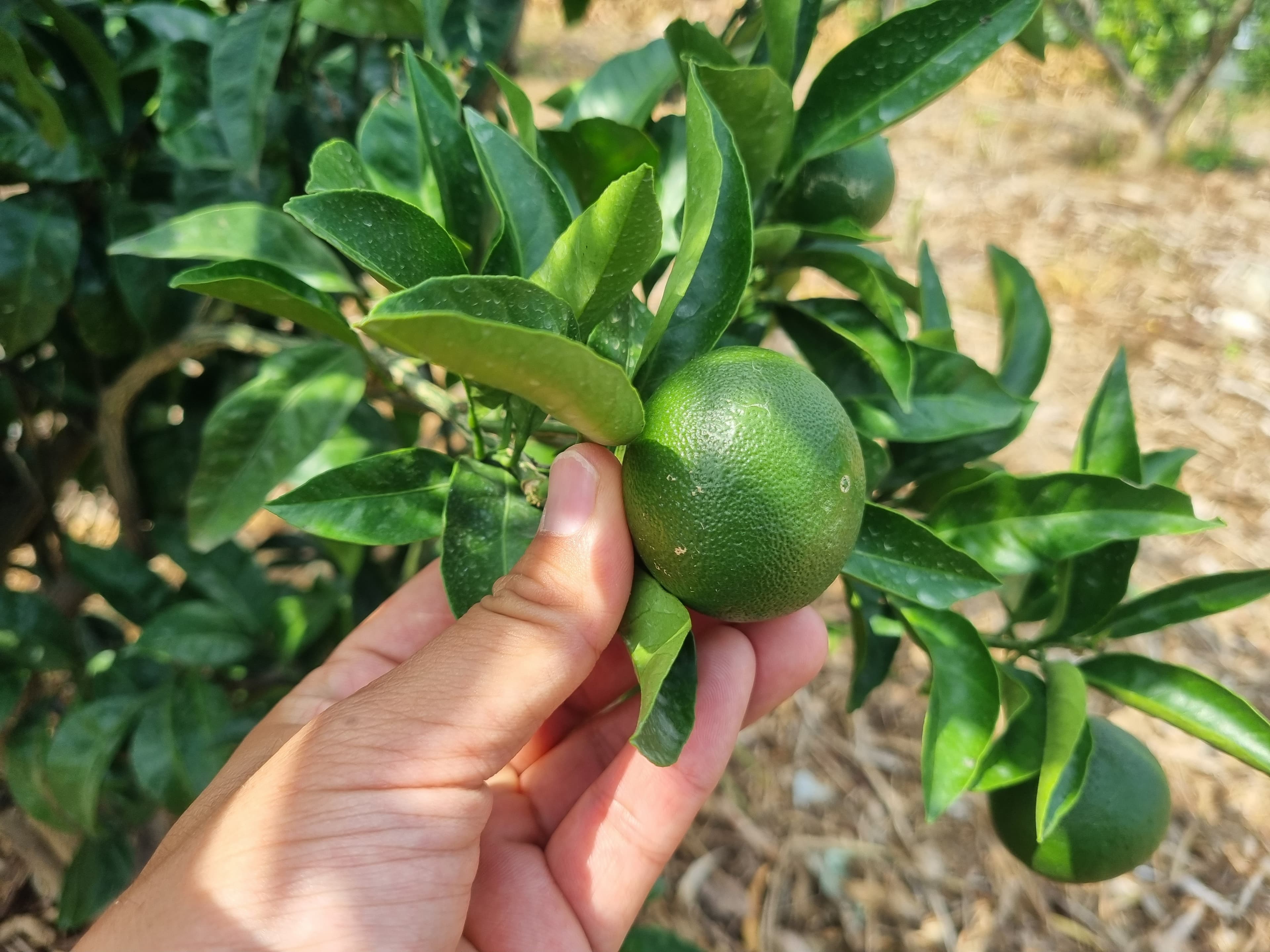 22년8월1일~24일 휴무