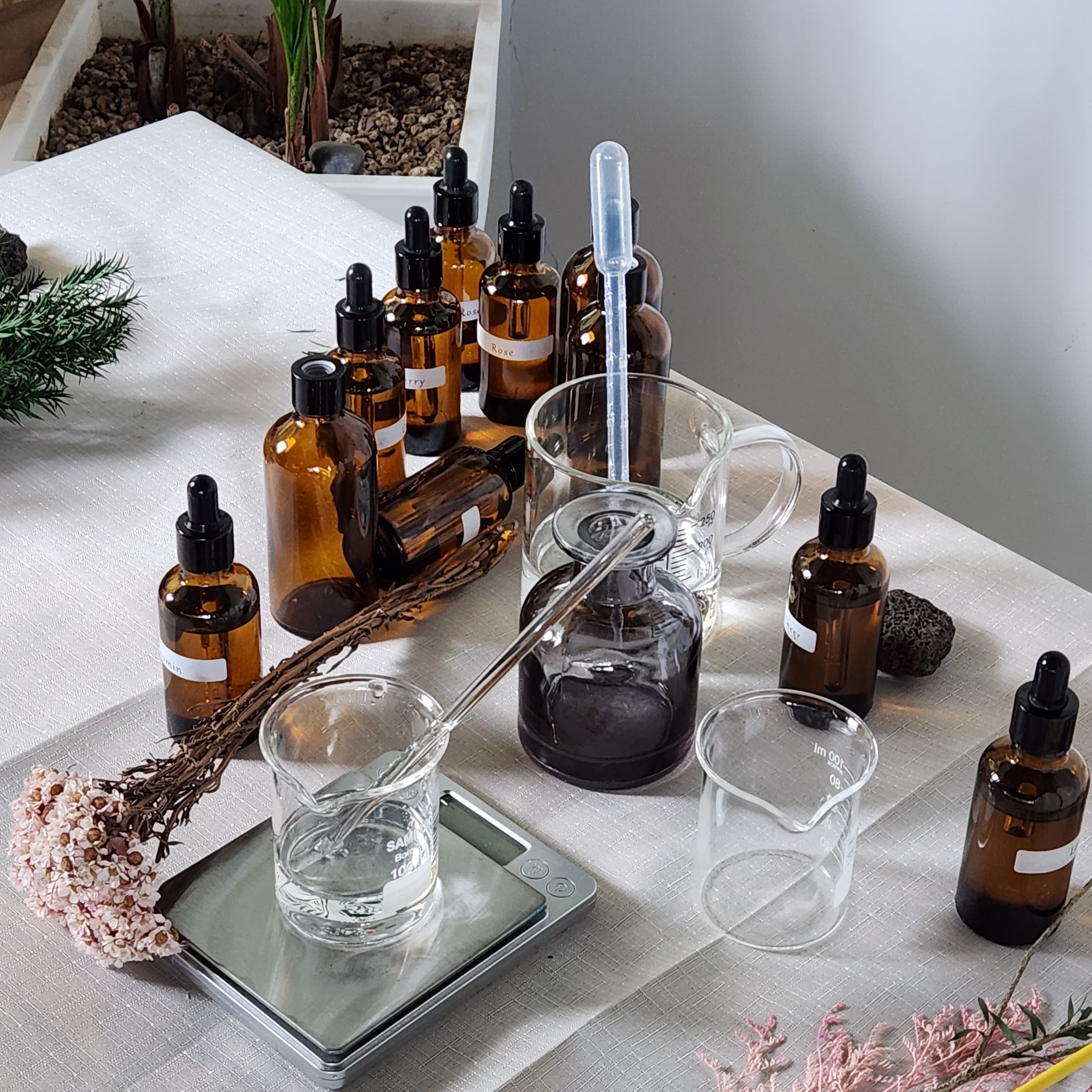 귤밭에댕댕이 제주 원데이클래스 공방 & 귤따기체험 사진