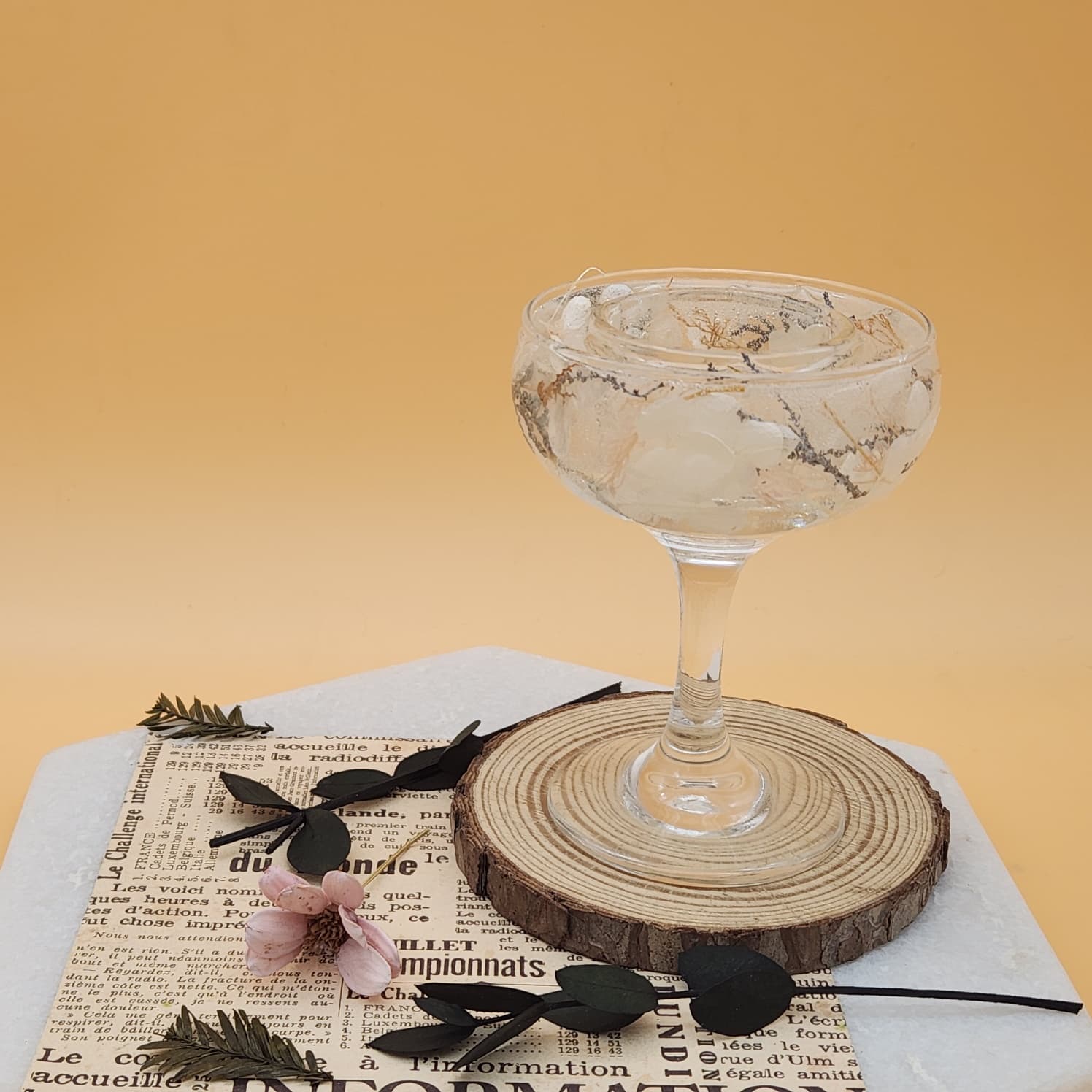 귤밭에댕댕이 제주 원데이클래스 공방 & 귤따기체험 사진