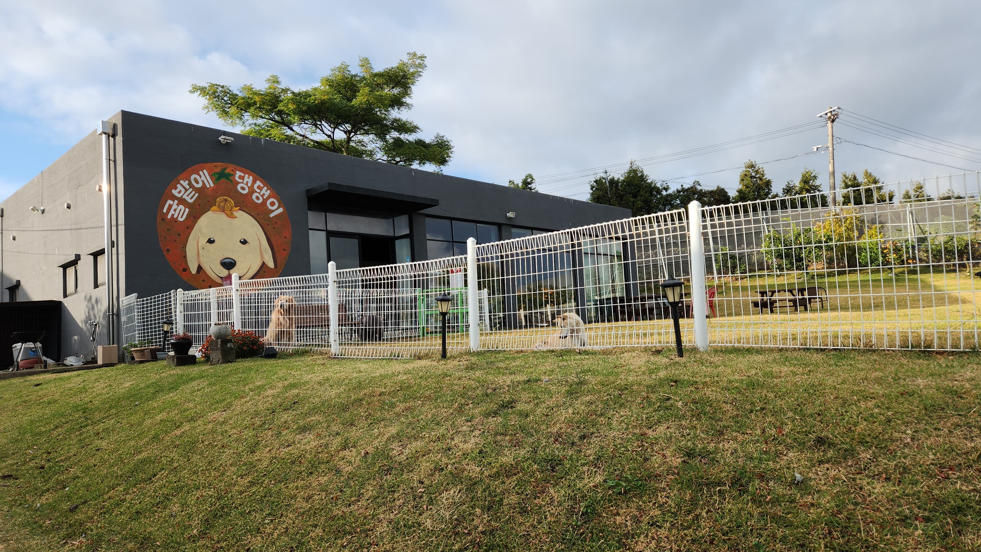 귤밭에댕댕이 제주 원데이클래스 공방 & 귤따기체험 사진